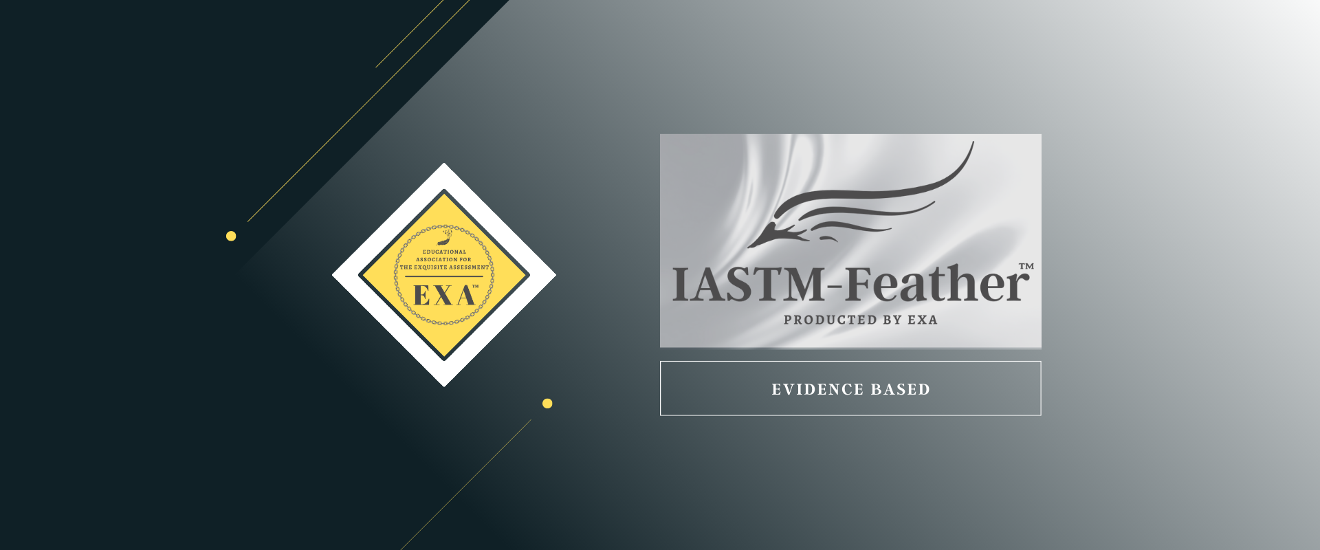 IASTM筋膜リリース資格セミナーEXAのトップページスライド画像3