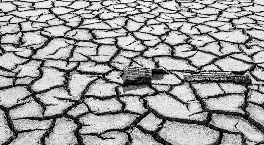 ひび割れてカラカラに乾燥した大地を白黒で捉えた画像で、【筋膜・皮膚組織（細胞外マトリックス周辺）】における重度の水分消失や癒着を示し、柔軟性を失った筋膜が硬く強張ることで生じる頑固なコリや関節の動かしづらさを解説している様子。